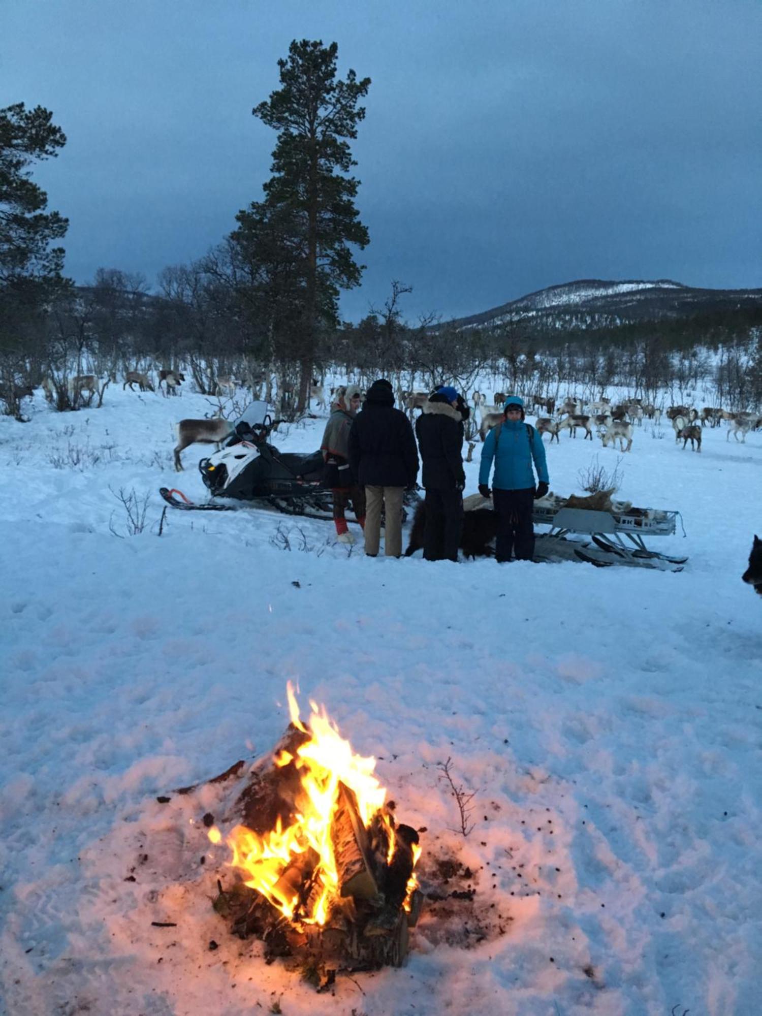 Bardufoss Hotell Экстерьер фото